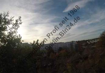 484927-Vorschaubild3