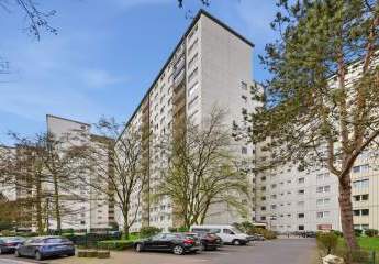 484954-Vorschaubild2