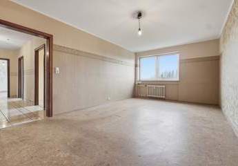 484954-Vorschaubild3