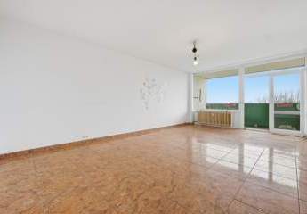 484954-Vorschaubild4