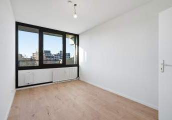 484955-Vorschaubild3