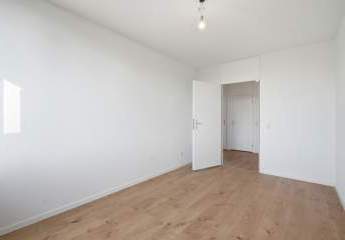 484955-Vorschaubild4