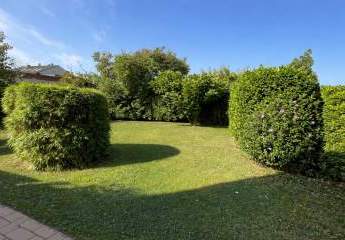 485919-Vorschaubild4