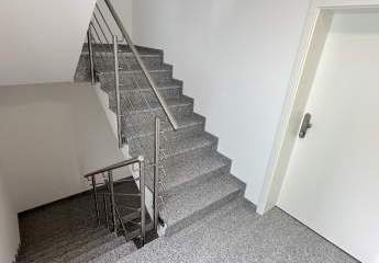 427156-Vorschaubild3