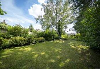 458766-Vorschaubild3