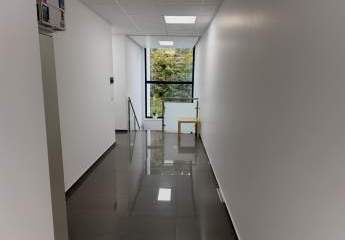 480992-Vorschaubild3