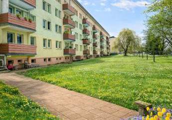 475038-Vorschaubild2