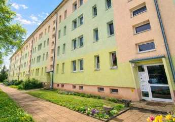 475038-Vorschaubild3