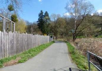 452982-Vorschaubild4