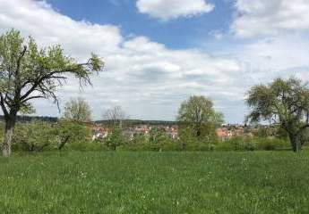 424489-Vorschaubild2
