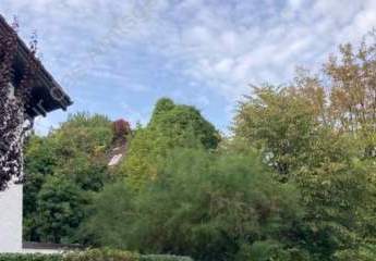 429492-Vorschaubild2