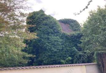 429492-Vorschaubild4