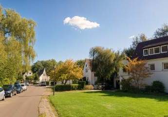 428927-Vorschaubild3