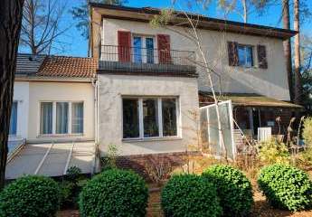 453550-Vorschaubild3