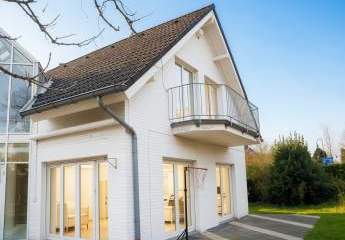 458200-Vorschaubild3