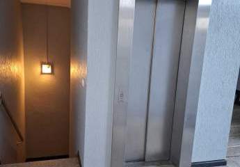 442509-Vorschaubild3