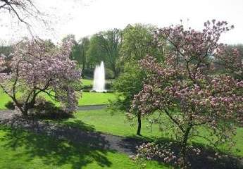 471317-Vorschaubild2