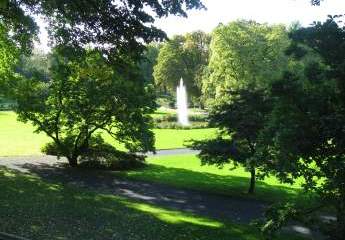 471317-Vorschaubild3