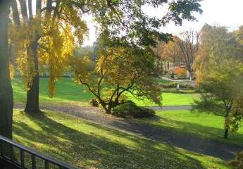 471317-Vorschaubild4