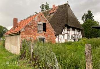 412354-Vorschaubild4