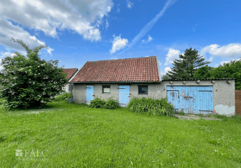 428025-Vorschaubild3
