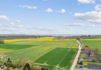 441636-Vorschaubild3