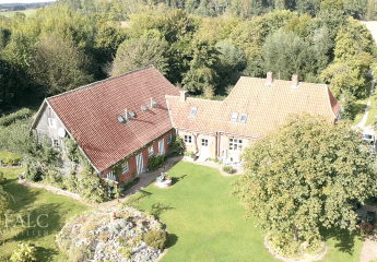 452991-Vorschaubild2