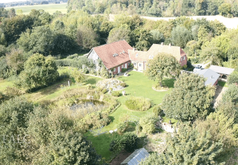 452991-Vorschaubild3