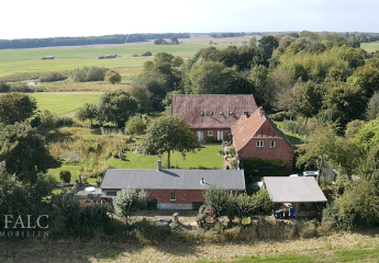 452991-Vorschaubild4