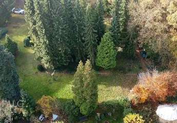 460294-Vorschaubild2