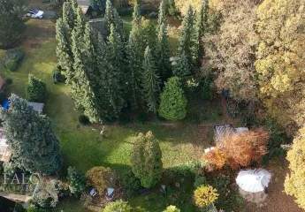 460294-Vorschaubild3