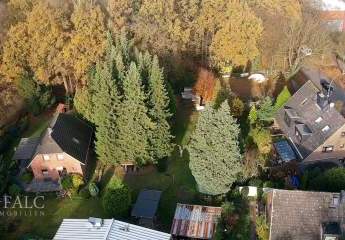 460294-Vorschaubild4