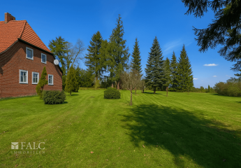 467283-Vorschaubild4