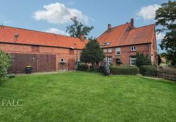 465602-Vorschaubild4