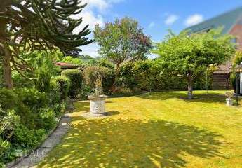 470736-Vorschaubild4