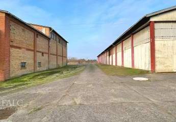 470929-Vorschaubild4