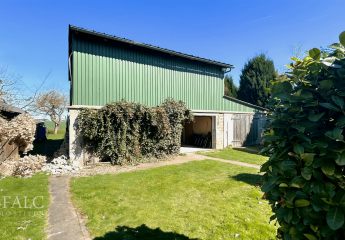 416033-Vorschaubild4