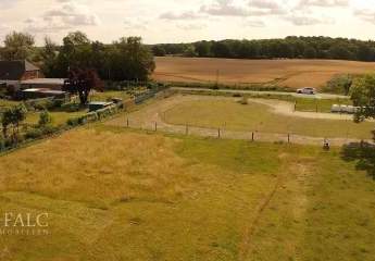 471901-Vorschaubild3