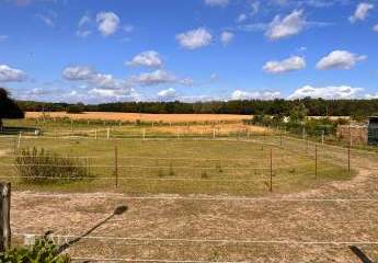 471901-Vorschaubild4