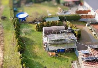 475373-Vorschaubild4