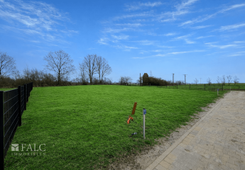 481918-Vorschaubild2