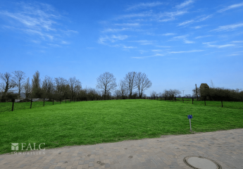 481918-Vorschaubild3