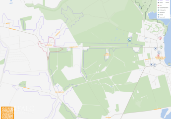 481918-Vorschaubild4