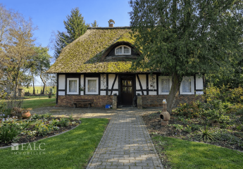 481965-Vorschaubild2