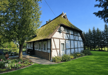 481965-Vorschaubild3