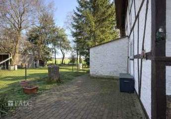 481965-Vorschaubild4