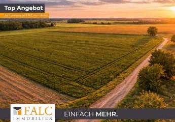 Ca. 14 ha Ackerland bei Dassow – gute Bodenwerte, verpachtet, attraktive Kapitalanlage