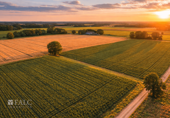 483413-Vorschaubild3