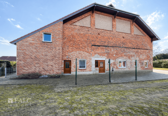 483414-Vorschaubild2