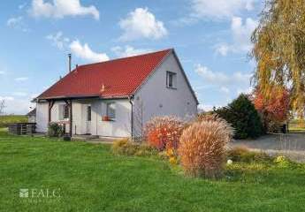 483595-Vorschaubild2